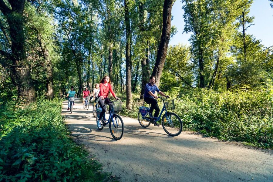 3-Hour Guided Cycling Tour of Warsaw - Old Town, Castle Square, and the Royal Route: classic Warsaw, experienced by movement