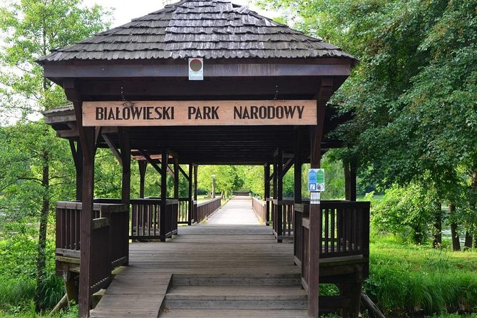 Bialowieza National Park Small Group Tour from Warsaw with Lunch included - UNESCO Bialowieza National Park makes a strong day trip from Warsaw