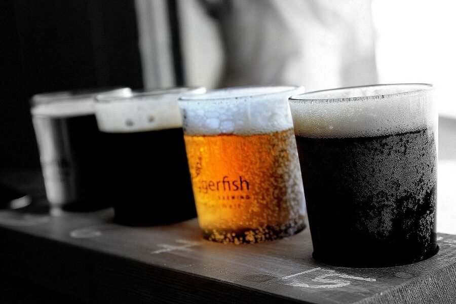 DAILY Beer Tasting Private Guided Tour at Best Warsaw Pubs - Price and Value: What $179 Really Covers