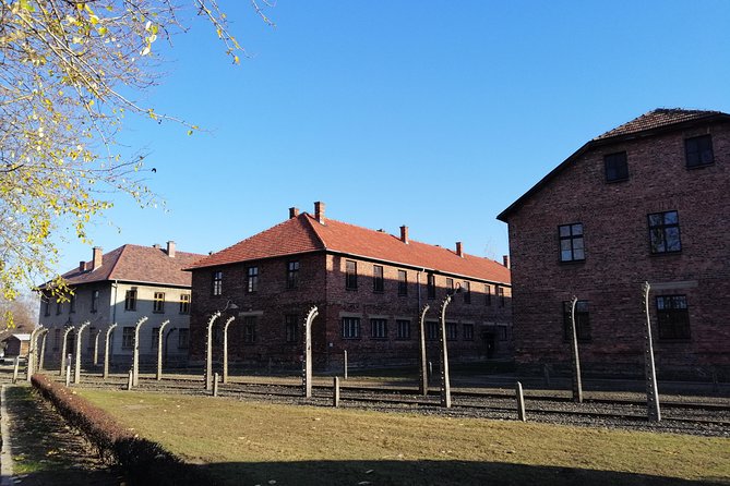 From Warsaw Auschwitz and Krakow one day tour by train with pick up and drop off - Auschwitz-Birkenau with a guide: what you’ll actually see