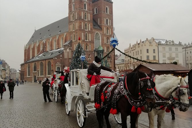 From Warsaw Auschwitz and Krakow one day tour by train with pick up and drop off - Birkenau pacing and headsets: the tradeoff you should plan for