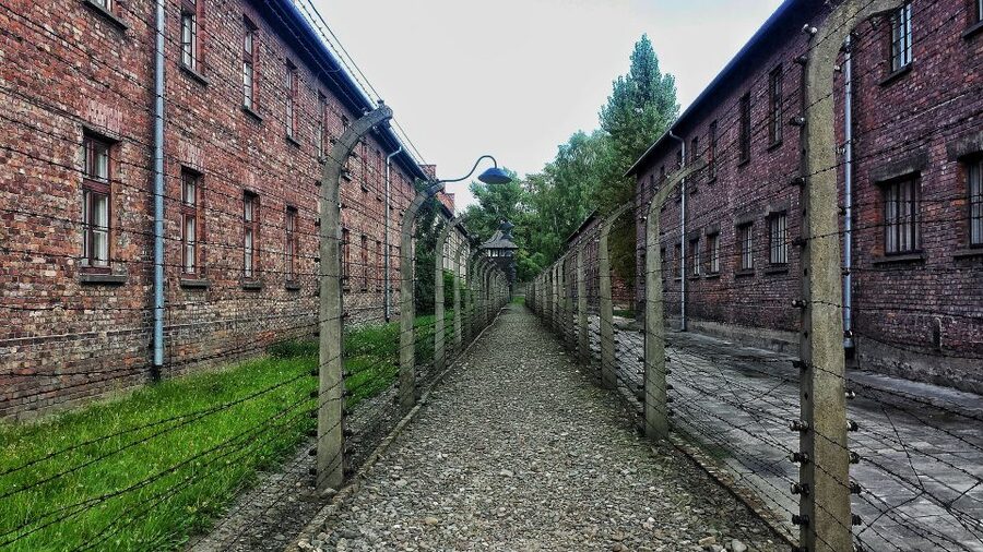 From Warsaw: Auschwitz-Birkenau Guided Tour with Fast Train - Why the Warsaw–Krakow fast train makes sense