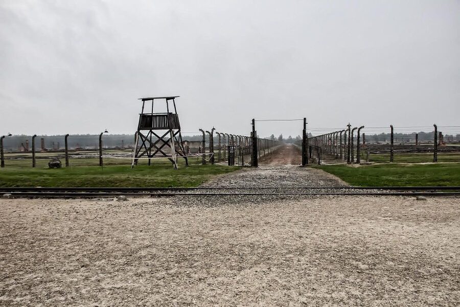 From Warsaw: Auschwitz-Birkenau Guided Tour with Fast Train - Krakow to Auschwitz: comfort plus a driver who speaks English