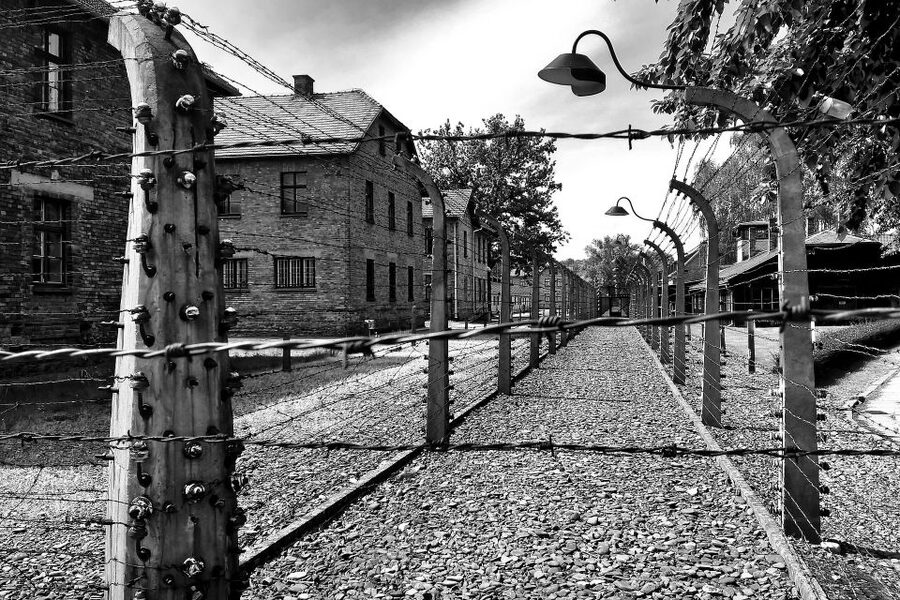 From Warsaw: Auschwitz-Birkenau Guided Tour with Fast Train - Auschwitz II-Birkenau: why the scale hits harder