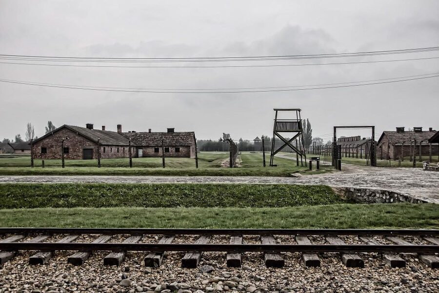 From Warsaw: Auschwitz-Birkenau Guided Tour with Fast Train - Price and value: what $181 really covers