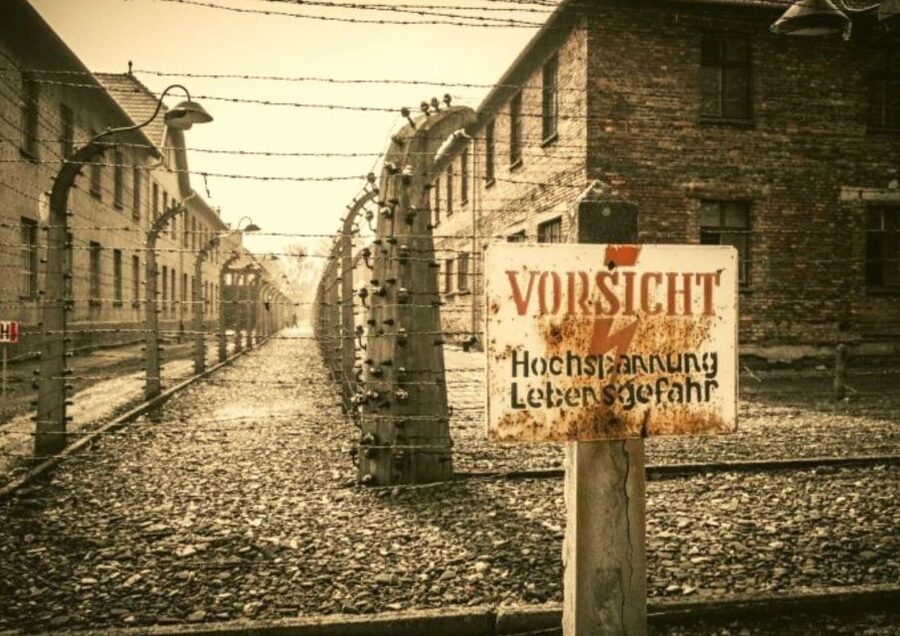 From Warsaw: Auschwitz-Birkenau Small Group Tour with Lunch - Key things to know before you go