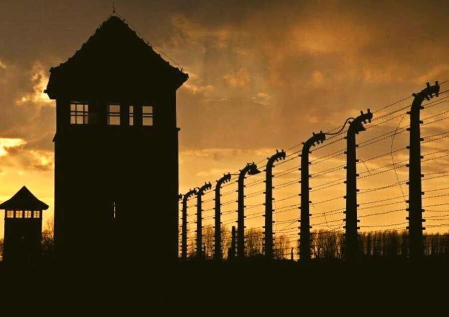 From Warsaw: Auschwitz-Birkenau Small Group Tour with Lunch - Who This Tour Fits Best (and Who Might Want Another Option)