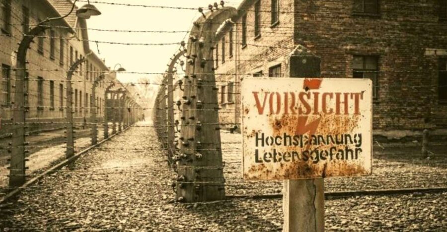 From Warsaw: Auschwitz-Birkenau Small Group Tour with Lunch - Auschwitz-Birkenau Memorial: The 3.5-Hour Guided Tour You’re Paying For