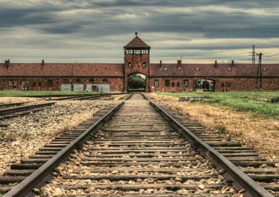 From Warsaw: Auschwitz-Birkenau Small Group Tour with Lunch - Museum Time and Personal Artifacts: Where the Story Becomes Human