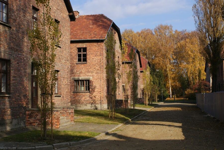 From Warsaw: Auschwitz-Birkenau Small Group Tour with Lunch - Lunch in Oświęcim: Included Food That Keeps the Day Moving