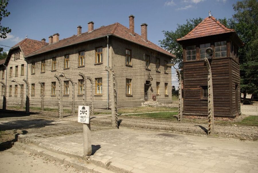 From Warsaw: Auschwitz-Birkenau Small Group Tour with Lunch - Price and Value: Is $350 Worth a One-Day Auschwitz Tour?