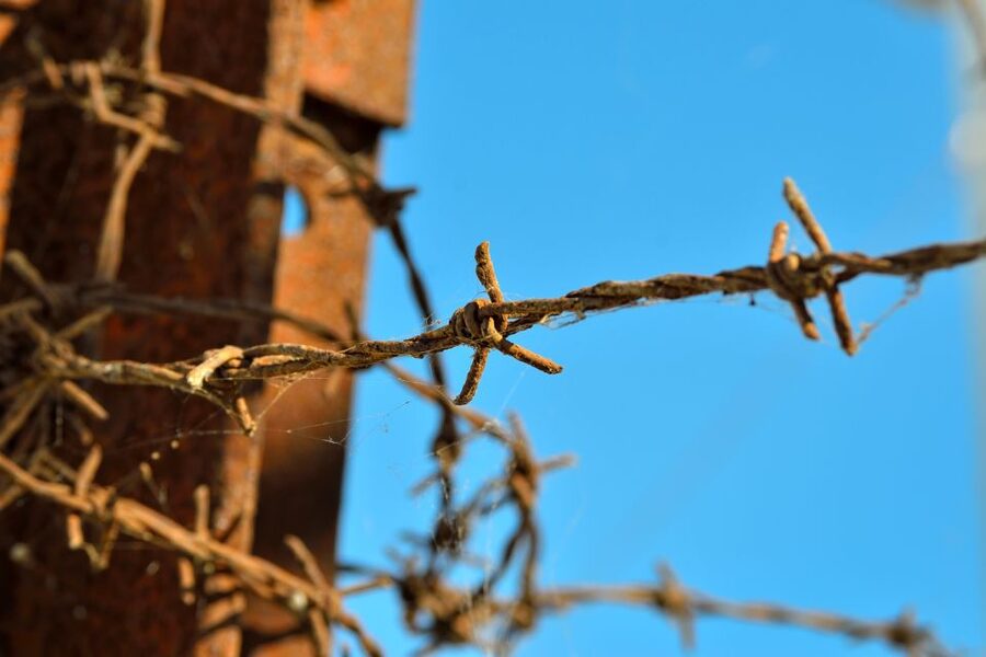 From Warsaw: Auschwitz-Birkenau Tour by Car - Value check: is the car day trip worth $265?