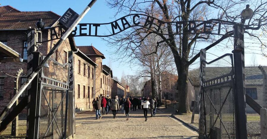 From Warsaw: Auschwitz-Birkenau Tour by Car - Who this tour fits best (and who should rethink it)