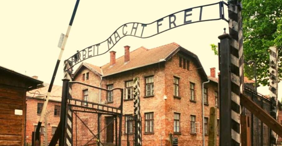 From Warsaw: Auschwitz Day Tour by Private Car with Lunch - Key things I’d bank on with this tour