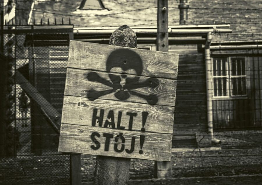 From Warsaw: Auschwitz Day Tour by Private Car with Lunch - The 4.5-hour Auschwitz-Birkenau guided tour: what you’ll actually do