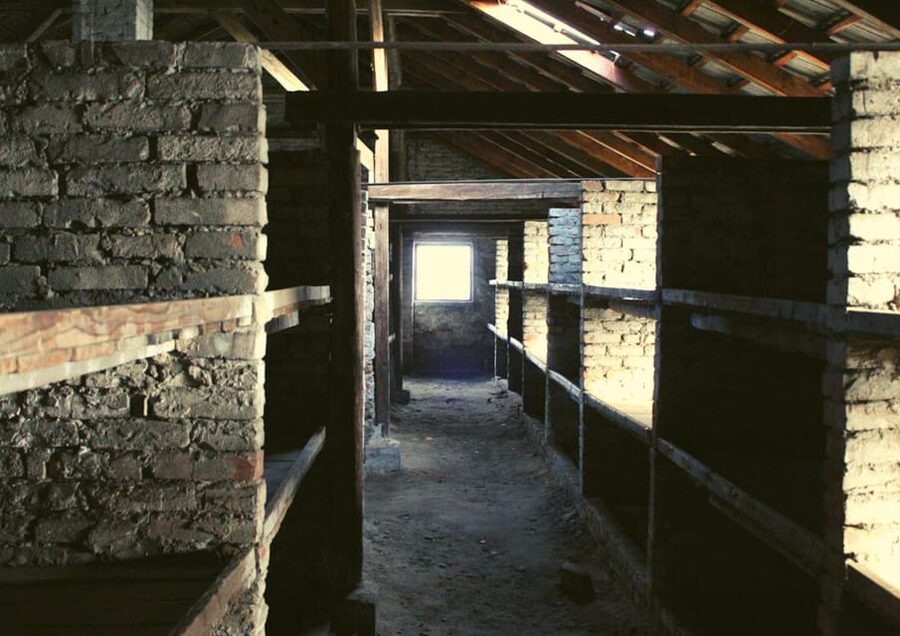 From Warsaw: Auschwitz Day Tour by Private Car with Lunch - Birkenau: ramps, watchtowers, and the scale you can’t ignore