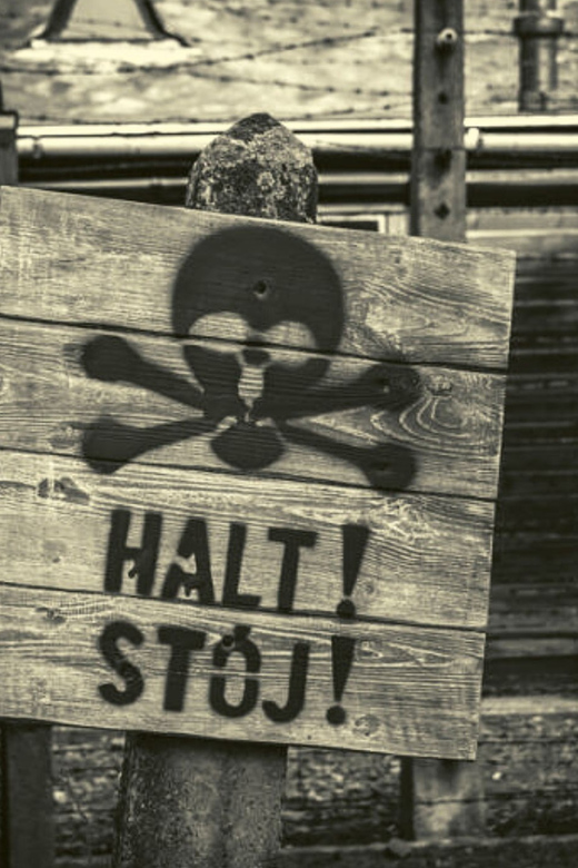 From Warsaw: Auschwitz Day Tour by Private Car with Lunch - Price and value: what $422 per person covers