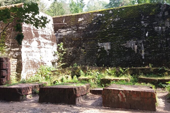 From Warsaw day tour to Wolf's Lair, Hitler's HQ by car - Key Highlights You’ll Actually Care About