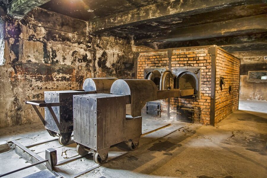 From Warsaw: Guided Tour to Auschwitz-Birkenau and Krakow - Who should book this tour (and who should skip it)?