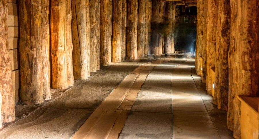 From Warsaw: Guided Tour to Wieliczka Salt Mine and Krakow - Price and logistics: does $220 per person make sense?