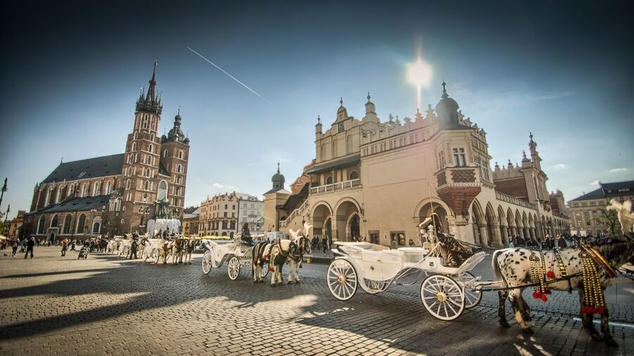 From Warsaw: Krakow Sightseeing Tour by Express Train - Food and breaks: how to handle a day without included meals