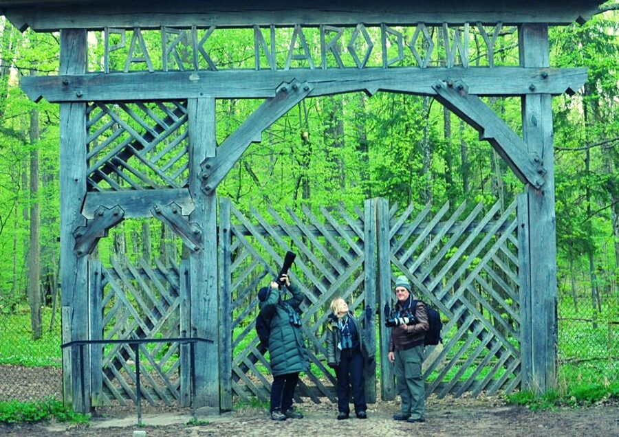 From Warsaw: Small-Group Tour to Bialowieza National Park - Who This Tour Fits Best (and Who Might Want Another Option)