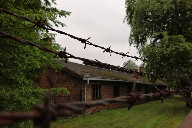 Full-Day Tour From Warsaw to Auschwitz (guided) and Krakow by car - One Car, Two Worlds: The Real Feel of This Day Trip