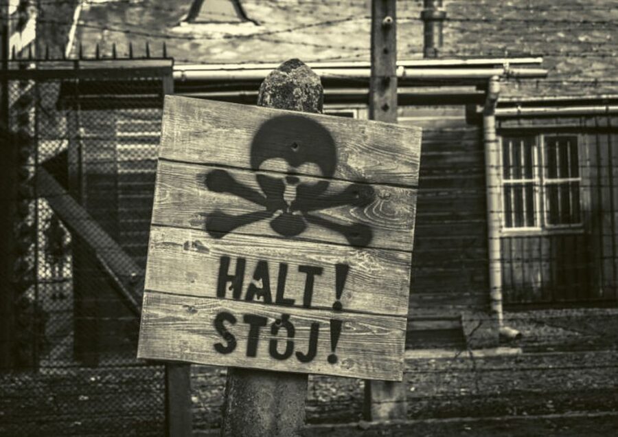 Krakow and Auschwitz Small-Group Tour from Warsaw with Lunch - Should you book the Krakow and Auschwitz small-group day trip from Warsaw?