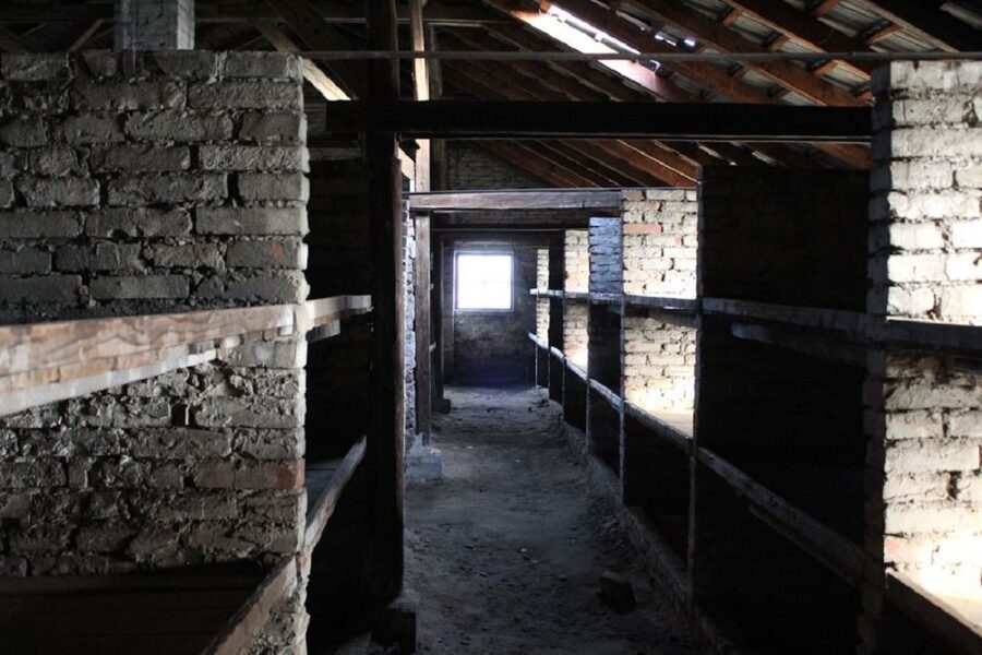 Krakow and Auschwitz Small-Group Tour from Warsaw with Lunch - Who should book this tour (and who should consider another option)