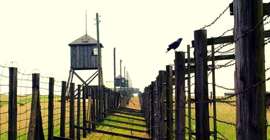 Lublin & Majdanek Small-Group Tour from Warsaw with Lunch - From Marszałkowska to Majdanek: easy transfers, real time management