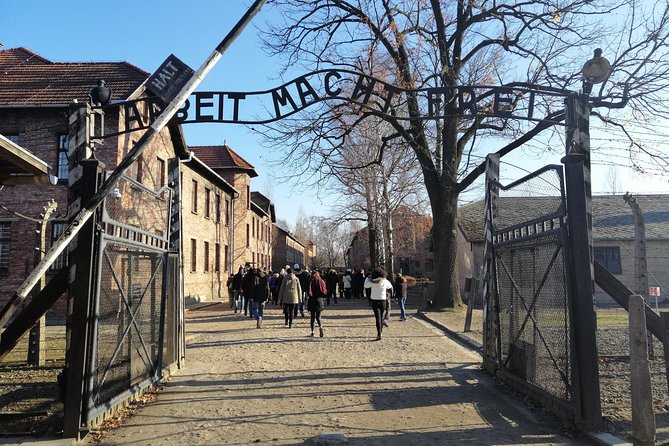 One Day Tour to Auschwitz-Birkenau from Warsaw by Car - Auschwitz-Birkenau tickets and the English guided format
