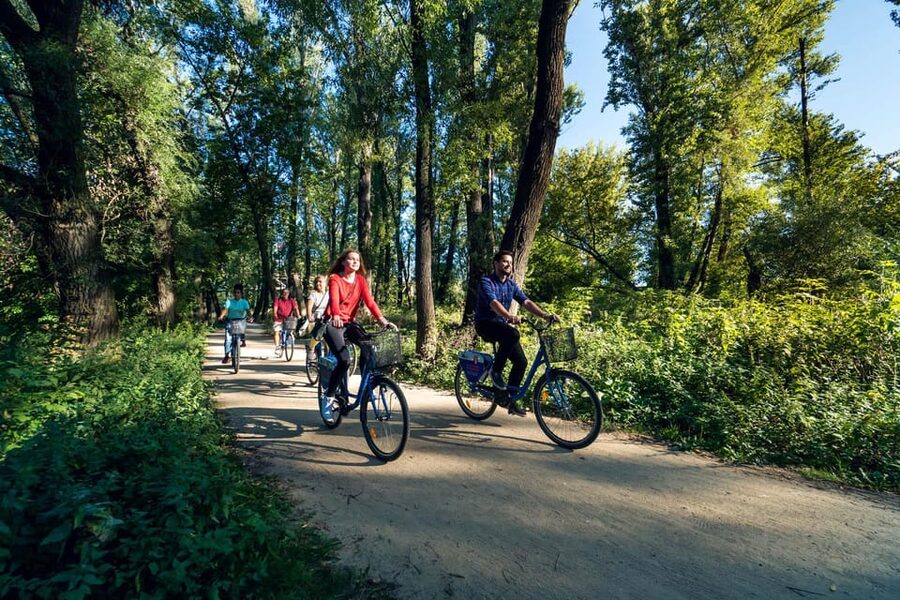 Secrets of Warsaw 4-hour Bike Tour - Royal Łazienki Park and the Vistula crossing: green calm plus city energy