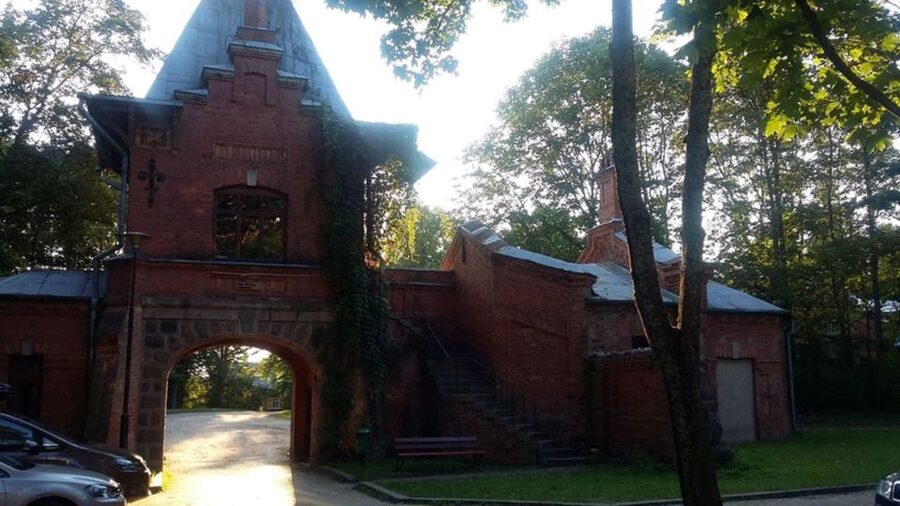 Warsaw: Bialowieza National Park and European Bison Tour - Your Guide Matters More Than You Think