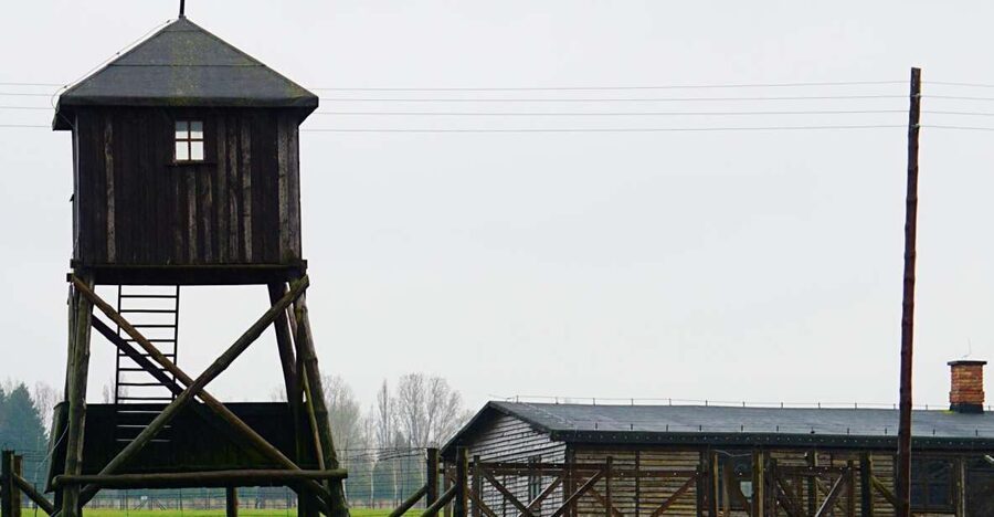 Warsaw: Majdanek Concentration Camp & Lublin Guided Day Tour - Getting there from Warsaw: pickup, ride comfort, and timing
