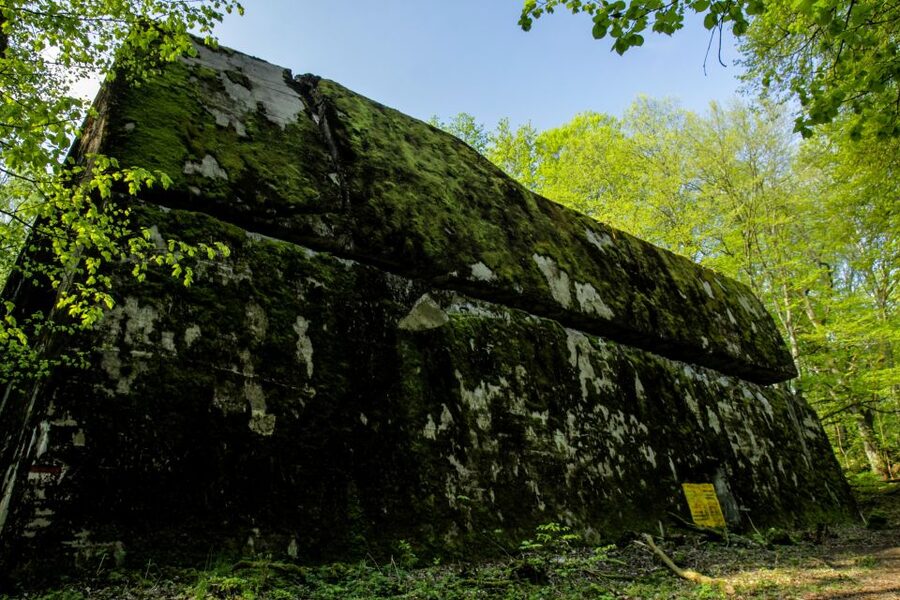 Warsaw: Private Full-Day Wolf's Lair Tour - Key reasons this day works so well