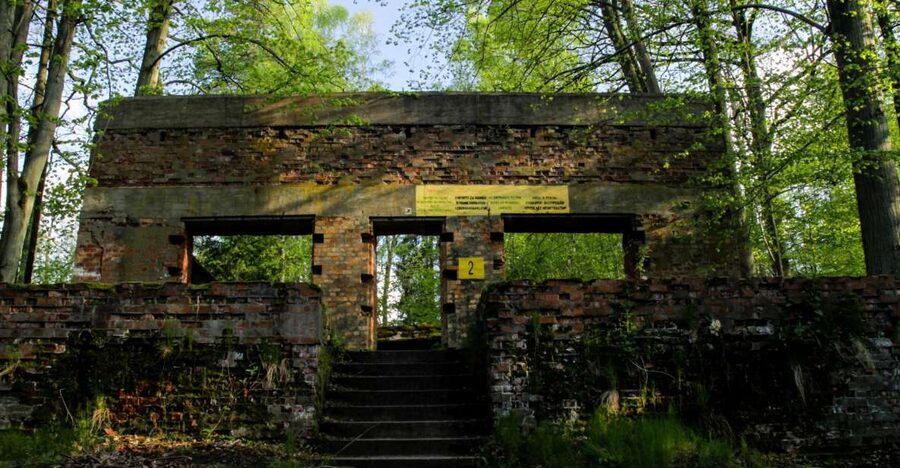 Warsaw: Private Full-Day Wolf's Lair Tour - Who should book this Wolf’s Lair private day