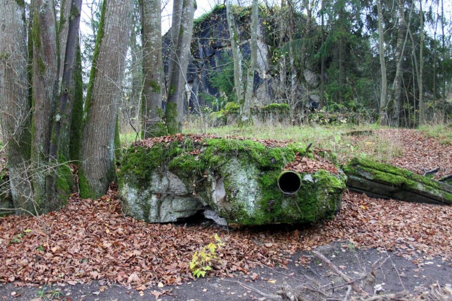 Warsaw: Private Full-Day Wolf's Lair Tour - Wolf’s Lair and the strange power of surviving concrete