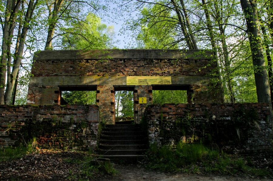 Warsaw: Private Full-Day Wolf's Lair Tour - Who you’ll be traveling with: the private-group advantage