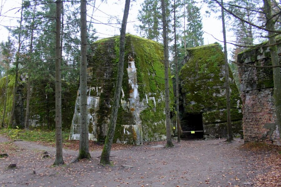 Warsaw: Private Full-Day Wolf's Lair Tour - Masuria’s scenery isn’t a distraction—it’s part of the lesson