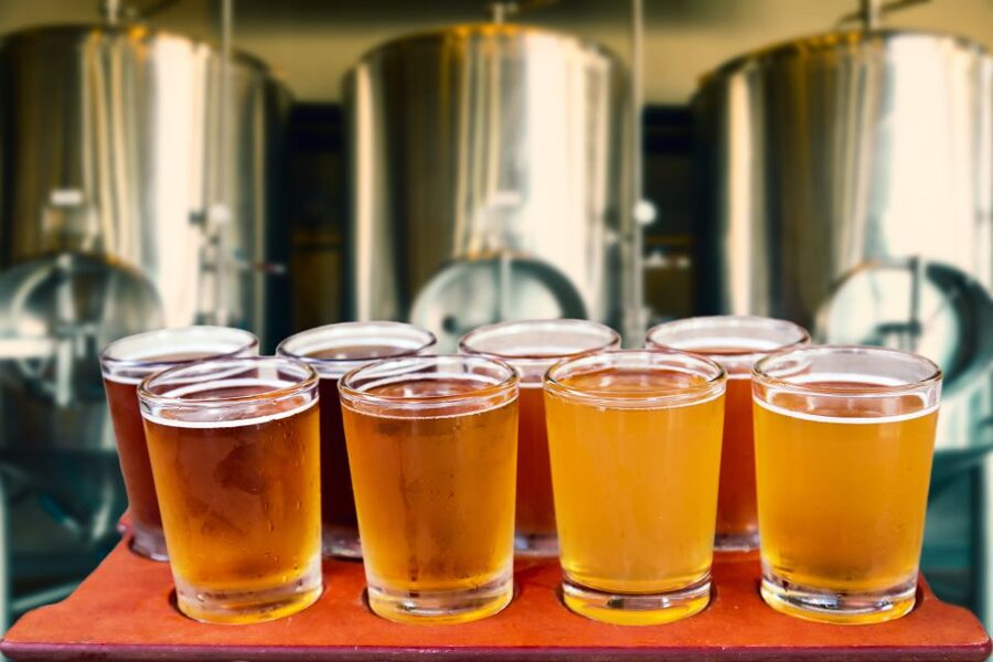 Warsaw Private Polish Beer Tasting Tour at Best Pubs & Bars - Beer lessons that feel like conversation, not homework