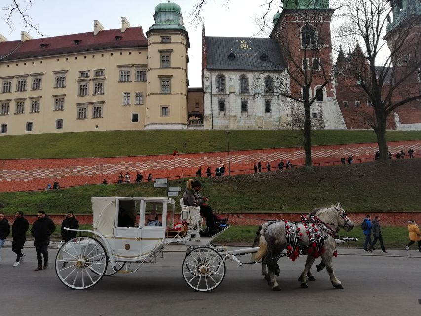 Warsaw: Tour to Krakow and Auschwitz by Train with Pickup - Auschwitz-Birkenau with a live guide: what the 3.5 hours do for you