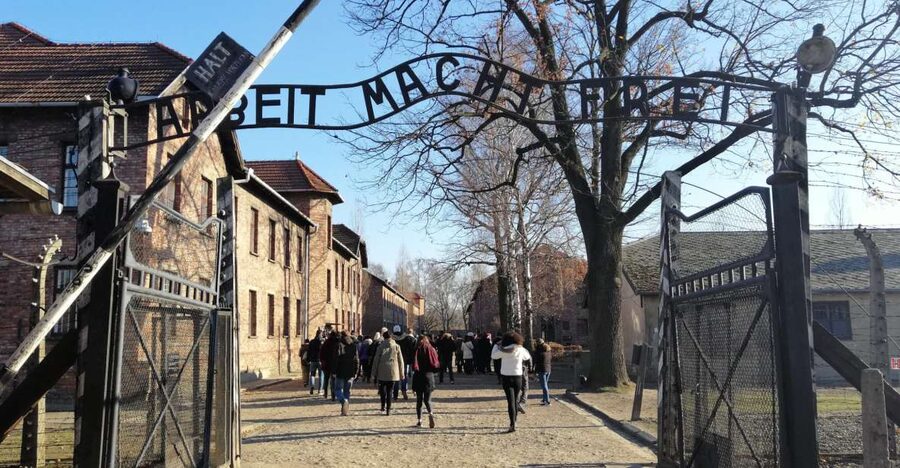 Warsaw: Tour to Krakow and Auschwitz by Train with Pickup - Price and value: is $174 a good deal for this much coordination?