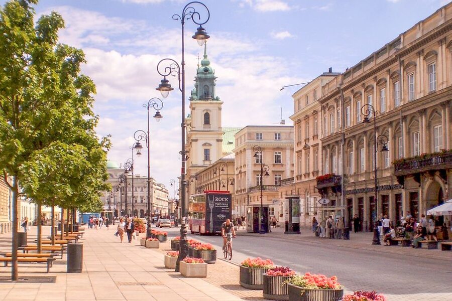 Warsaw: Warsaw Historical Group Tour with Pickup & Drop-Off - UNESCO Old Town on foot: Castle, cathedral, and royal tombs