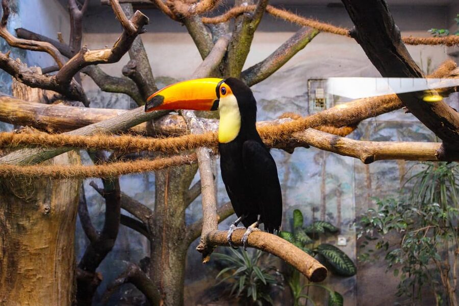 Warsaw Zoo Skip-the-Line Entry Ticket with Private Transport - Key Points You’ll Care About
