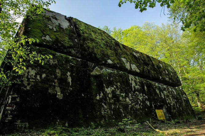 Wolf’s Lair Private Day Trip from Warsaw - Why this Wolf’s Lair trip feels different from a quick tour