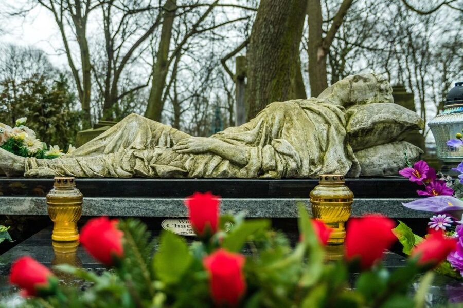 World War II Warsaw Old Town, Military Cemetery Walking Tour - Who this tour fits best