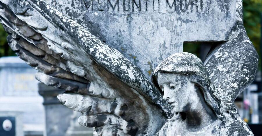 World War II Warsaw Old Town, Military Cemetery Walking Tour - Logistics that won’t derail your day